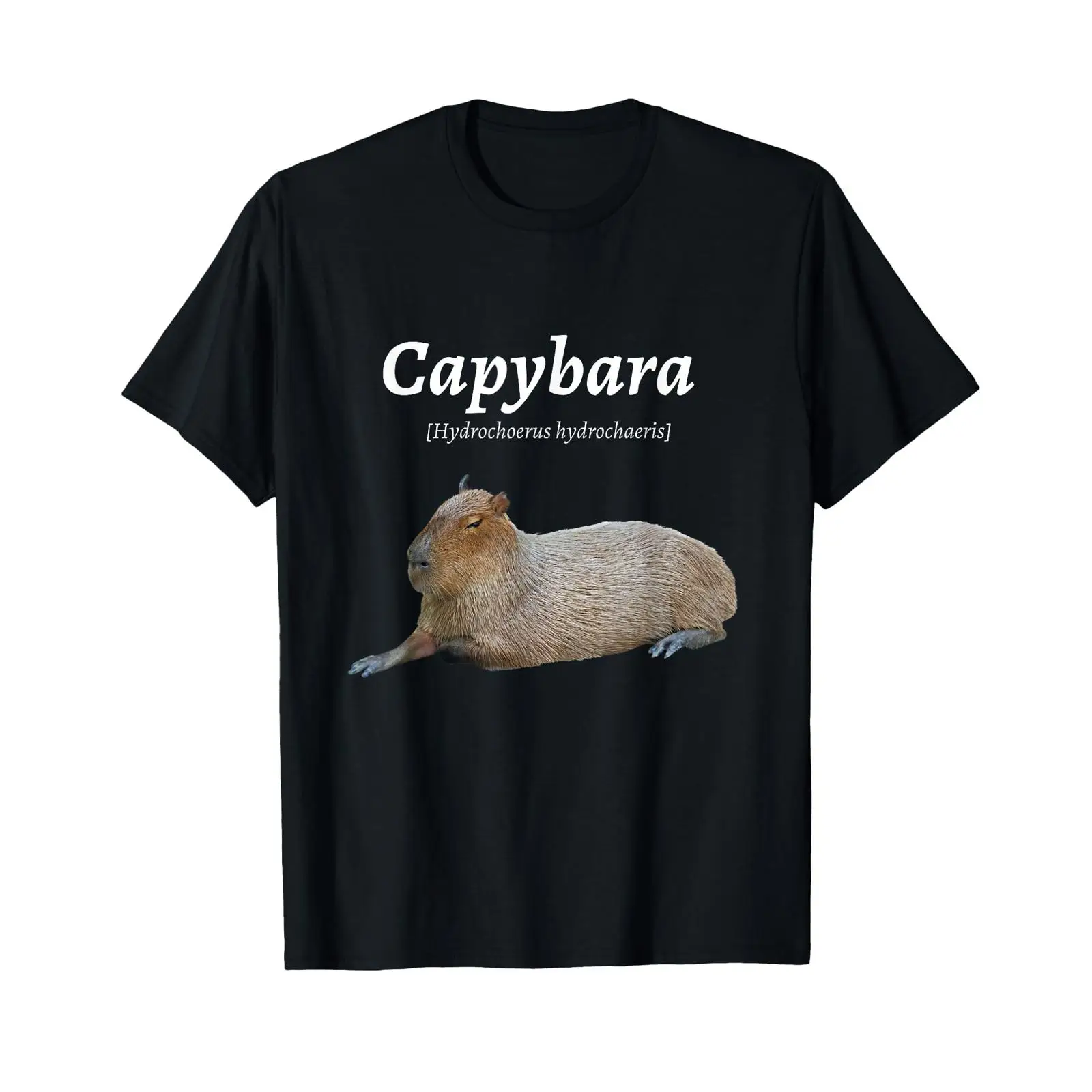 Funny Cute Capybara Capy Bara  - огляд і ціна Vintage Fashion Definition